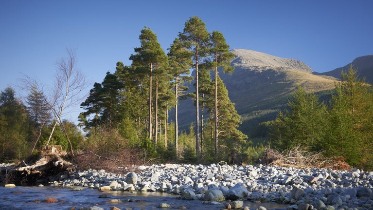 The River Liza which feeds into Ennerdale Water at Ennerdale, Cumbria.